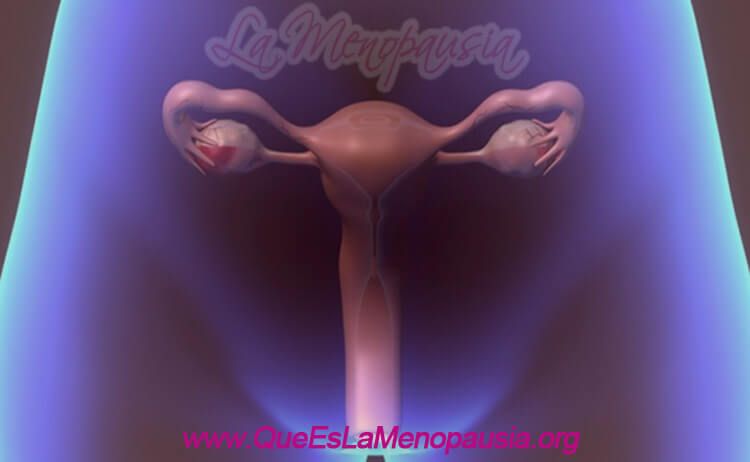 © Mito o Realidad: ¿La Salpingoclasia (o Ligadura de Trompas) Acelera la Menopausia? ™ 【Actualizado 2021】