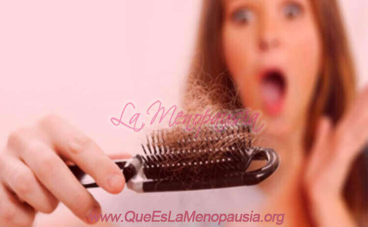 Fases de la Alopecia Femenina
