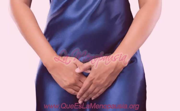 Sequedad vaginal en la menopausia