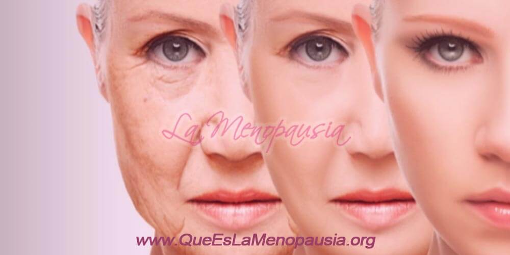 Envejecimiento celular en la menopausia