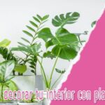 cómo decorar tu interior con plantas verdes