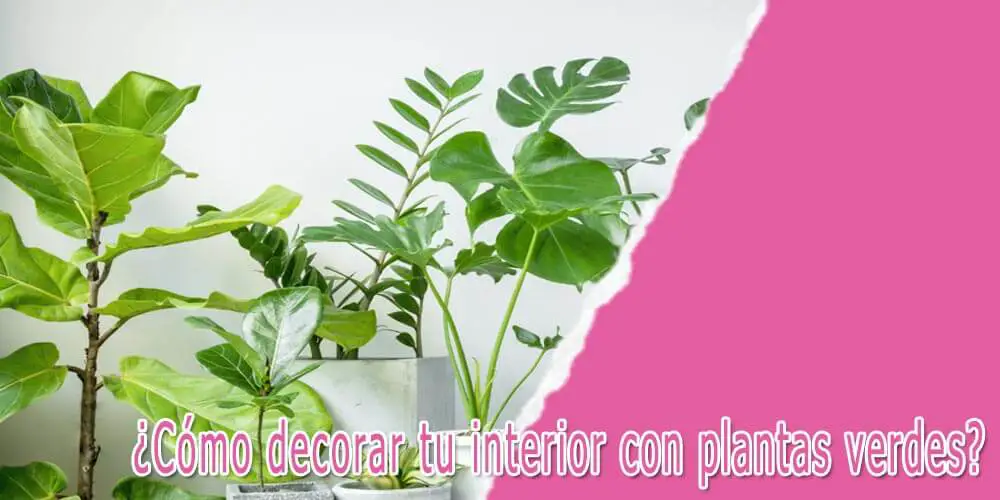 cómo decorar tu interior con plantas verdes