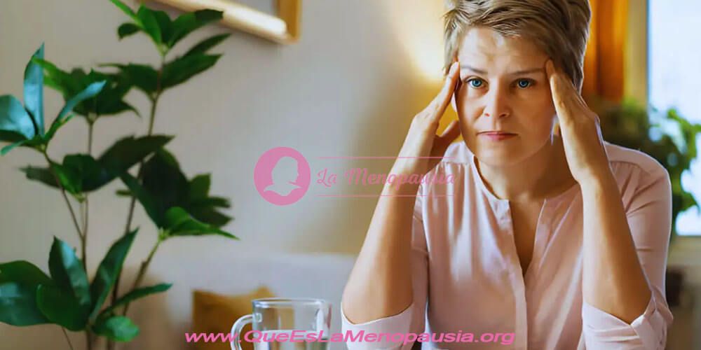 Conclusiones - mejores productos para la menopausia