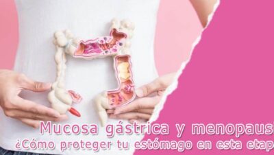 Mucosa gástrica y menopausia: cómo proteger tu estómago en esta etapa 11 Mucosa gástrica y menopausia