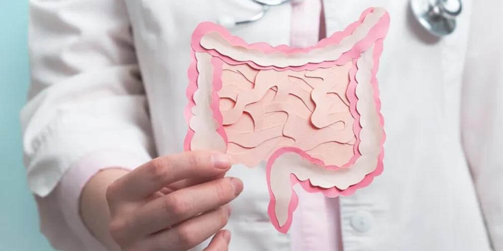Mucosa gástrica y menopausia: cómo proteger tu estómago en esta etapa 5 Preguntas frecuentes sobre mucosa gástrica y menopausia