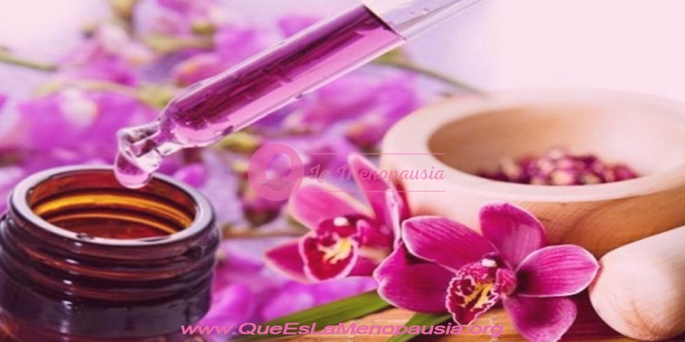 Menopausia flores de bach: Qué son las esencias florales o flores de Bach