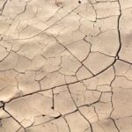 Sequedad vulvar menopausia remedios caseros: Todo lo que necesitas saber